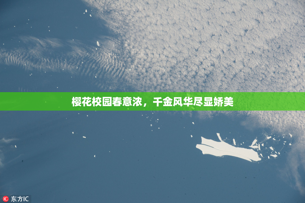 樱花校园春意浓，千金风华尽显娇美