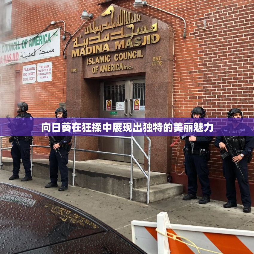 向日葵在狂揉中展现出独特的美丽魅力
