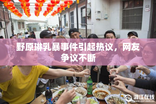 野原琳乳暴事件引起热议，网友争议不断