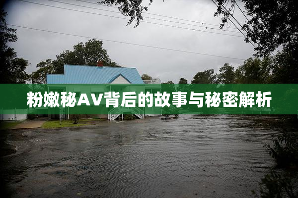 粉嫩秘AV背后的故事与秘密解析