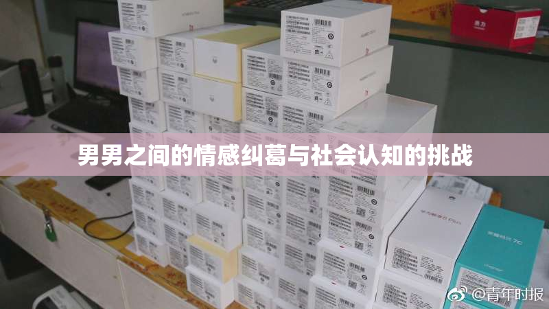 男男之间的情感纠葛与社会认知的挑战