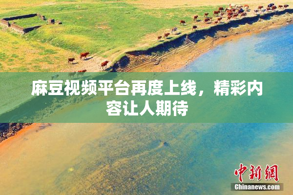 麻豆视频平台再度上线，精彩内容让人期待