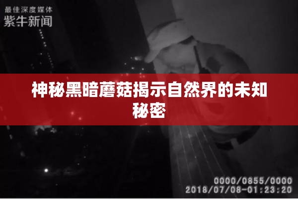 神秘黑暗蘑菇揭示自然界的未知秘密