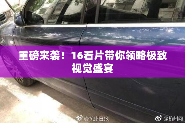 重磅来袭！16看片带你领略极致视觉盛宴