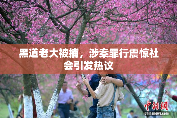 黑道老大被捕，涉案罪行震惊社会引发热议