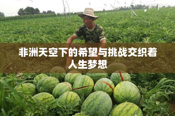 非洲天空下的希望与挑战交织着人生梦想