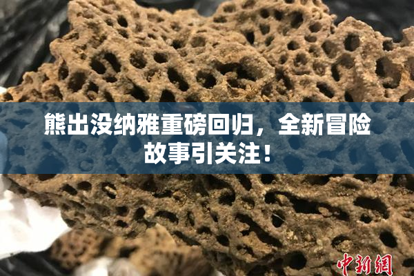 熊出没纳雅重磅回归，全新冒险故事引关注！