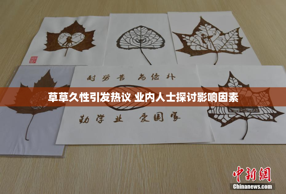 草草久性引发热议 业内人士探讨影响因素