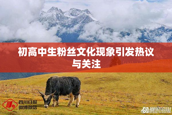 初高中生粉丝文化现象引发热议与关注