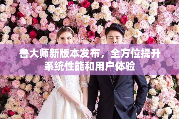 鲁大师新版本发布，全方位提升系统性能和用户体验