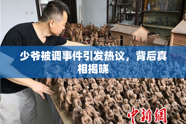 少爷被调事件引发热议，背后真相揭晓