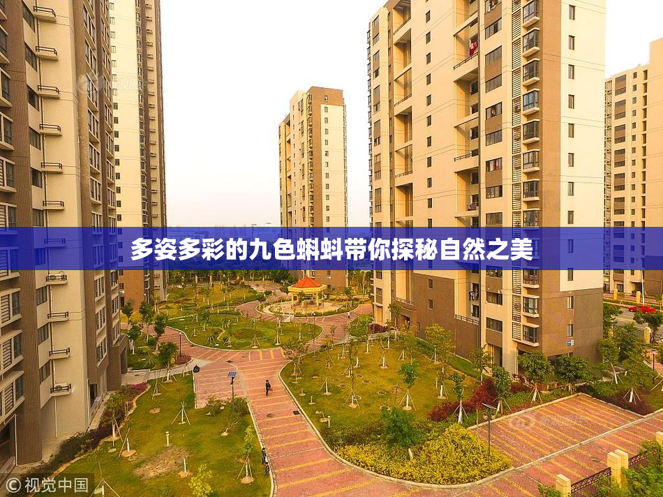 多姿多彩的九色蝌蚪带你探秘自然之美