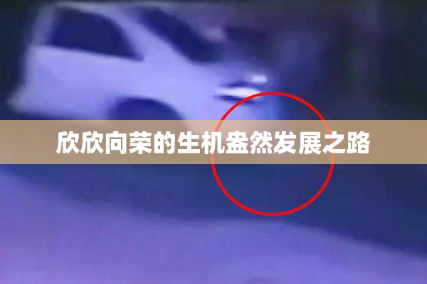 欣欣向荣的生机盎然发展之路