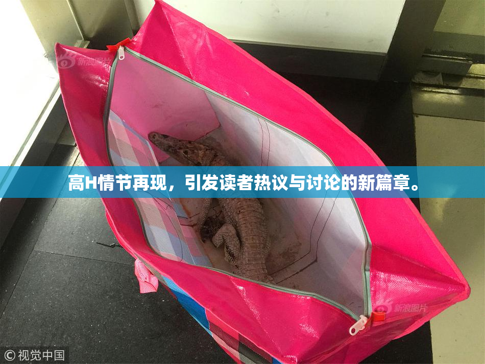 高H情节再现，引发读者热议与讨论的新篇章。