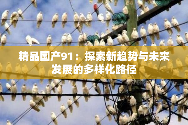 精品国产91：探索新趋势与未来发展的多样化路径