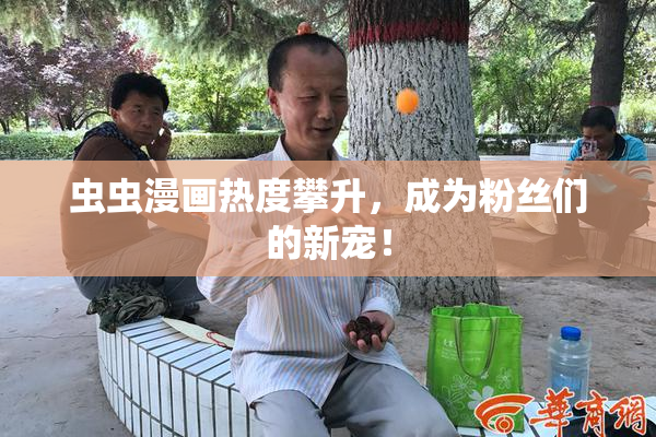 虫虫漫画热度攀升，成为粉丝们的新宠！