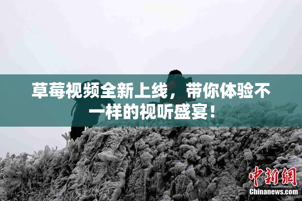 草莓视频全新上线，带你体验不一样的视听盛宴！