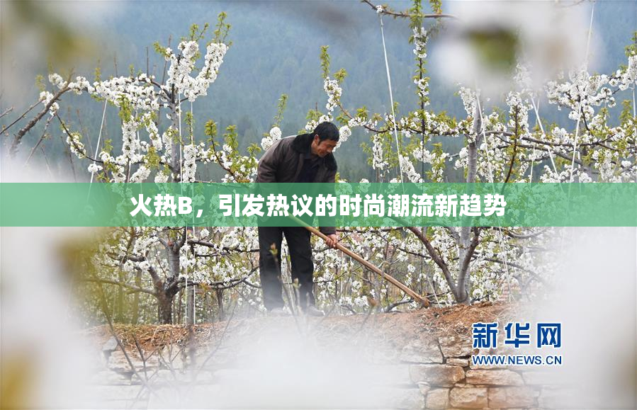 火热B，引发热议的时尚潮流新趋势