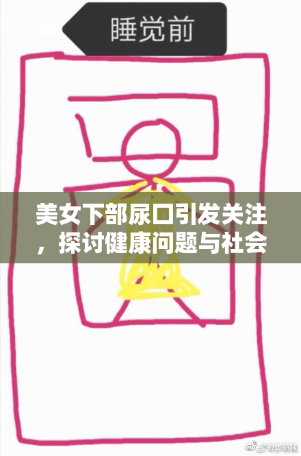 美女下部尿囗引发关注，探讨健康问题与社会话题