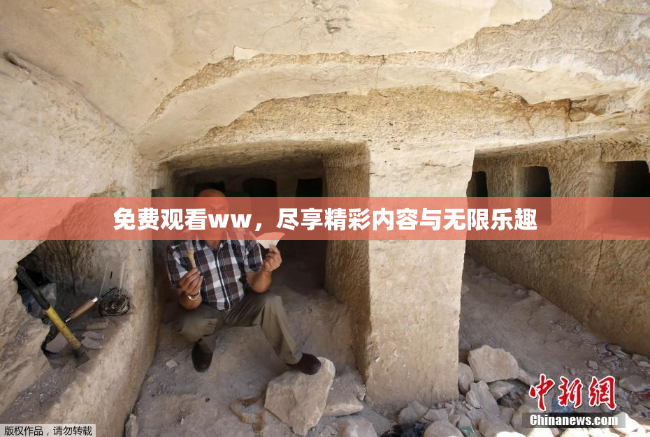 免费观看ww，尽享精彩内容与无限乐趣