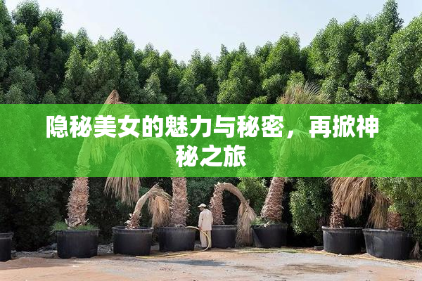 隐秘美女的魅力与秘密，再掀神秘之旅