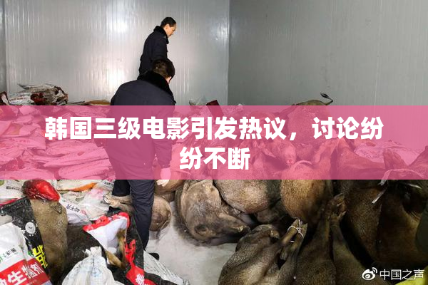 韩国三级电影引发热议，讨论纷纷不断