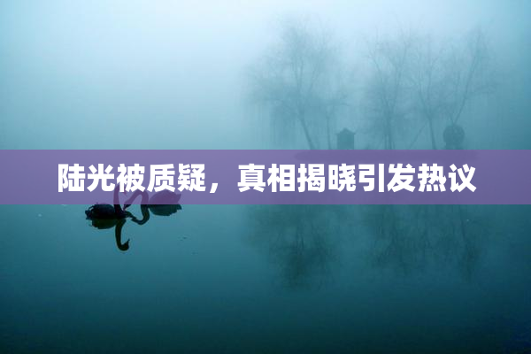 陆光被质疑，真相揭晓引发热议