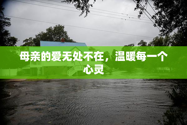 母亲的爱无处不在，温暖每一个心灵