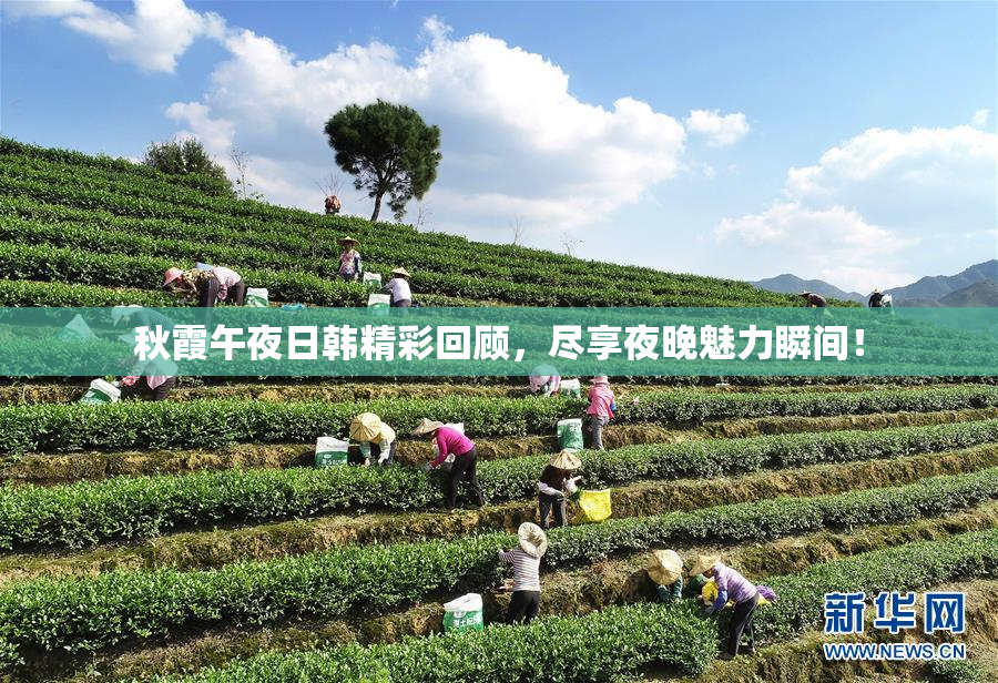 秋霞午夜日韩精彩回顾，尽享夜晚魅力瞬间！