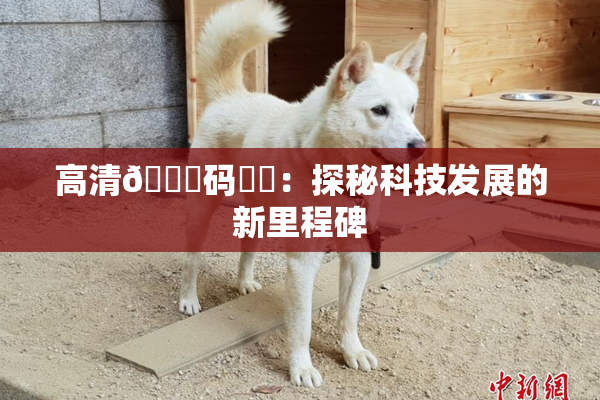 高清🈚码❌‌：探秘科技发展的新里程碑