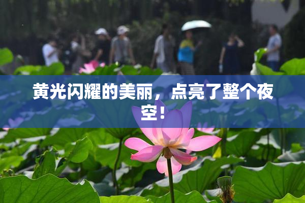 黄光闪耀的美丽，点亮了整个夜空！