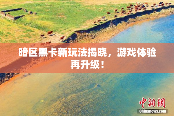 暗区黑卡新玩法揭晓，游戏体验再升级！