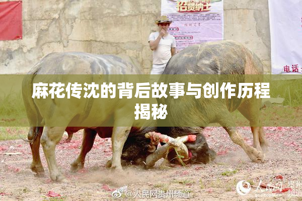 麻花传沈的背后故事与创作历程揭秘