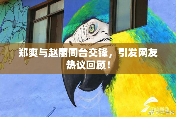 郑爽与赵丽同台交锋，引发网友热议回顾！