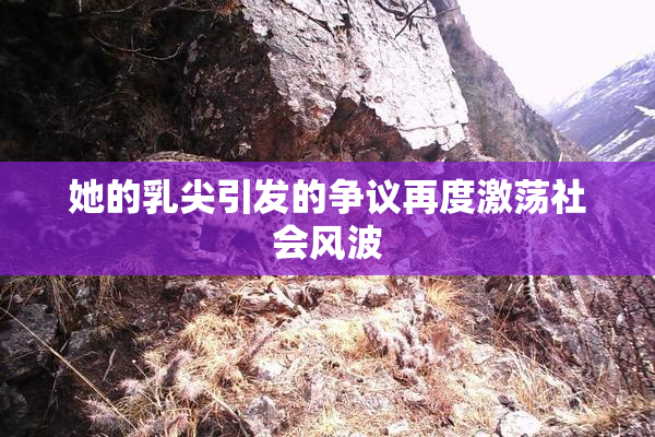 她的乳尖引发的争议再度激荡社会风波