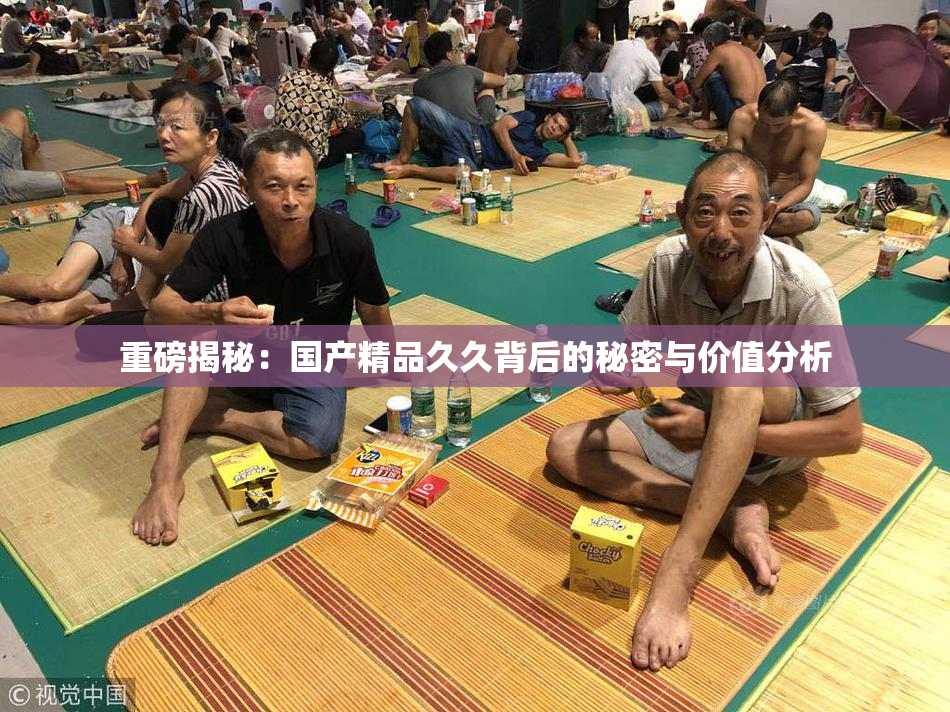 重磅揭秘：国产精品久久背后的秘密与价值分析