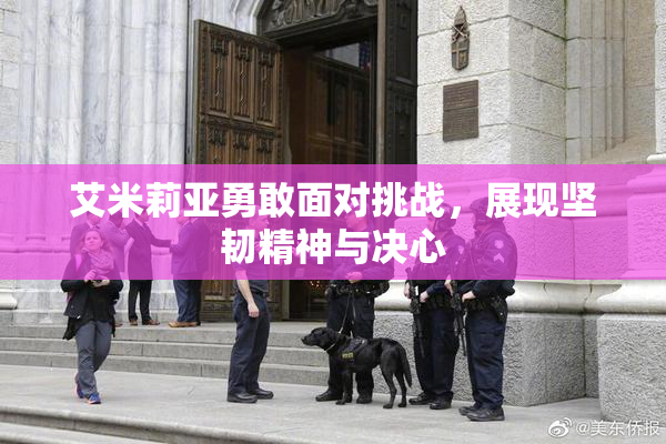 艾米莉亚勇敢面对挑战，展现坚韧精神与决心