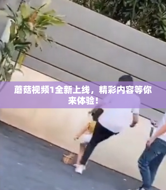 蘑菇视频1全新上线，精彩内容等你来体验！