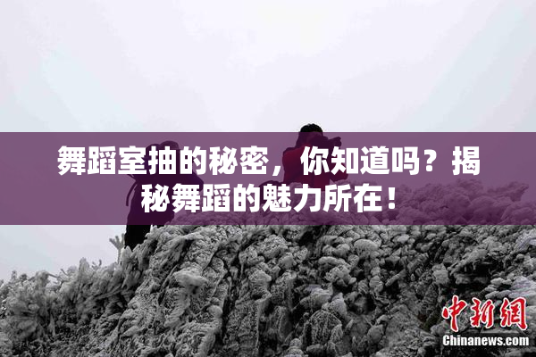 舞蹈室抽的秘密，你知道吗？揭秘舞蹈的魅力所在！