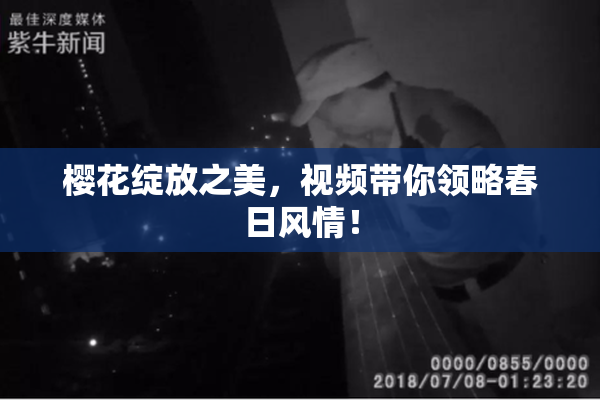 樱花绽放之美，视频带你领略春日风情！