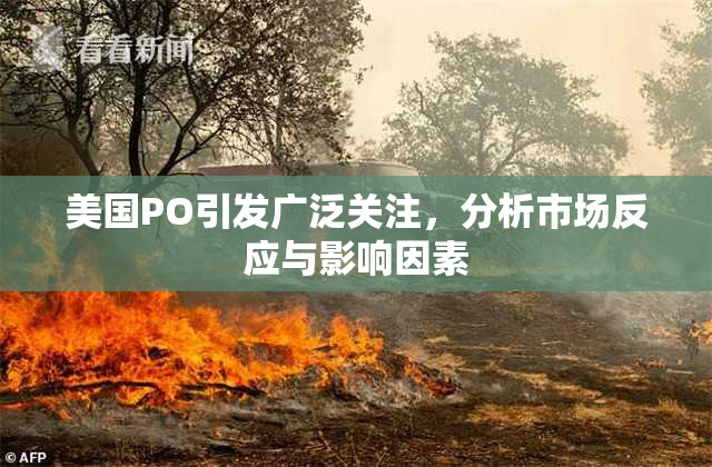 美国PO引发广泛关注，分析市场反应与影响因素