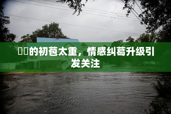 妺妺的初苞太重，情感纠葛升级引发关注