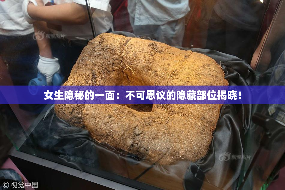 女生隐秘的一面：不可思议的隐藏部位揭晓！