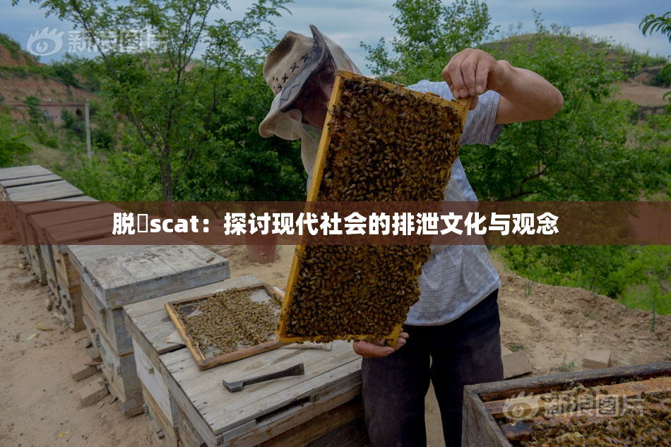 脱糞scat：探讨现代社会的排泄文化与观念