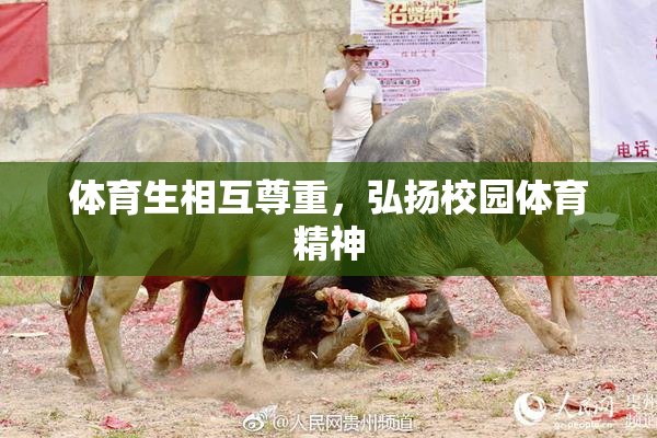 体育生相互尊重，弘扬校园体育精神