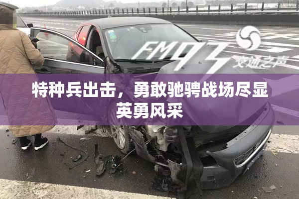 特种兵出击，勇敢驰骋战场尽显英勇风采