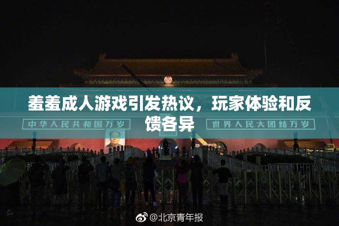 羞羞成人游戏引发热议，玩家体验和反馈各异