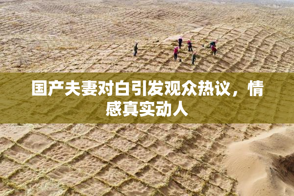 国产夫妻对白引发观众热议，情感真实动人
