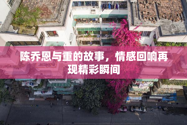 陈乔恩与重的故事，情感回响再现精彩瞬间