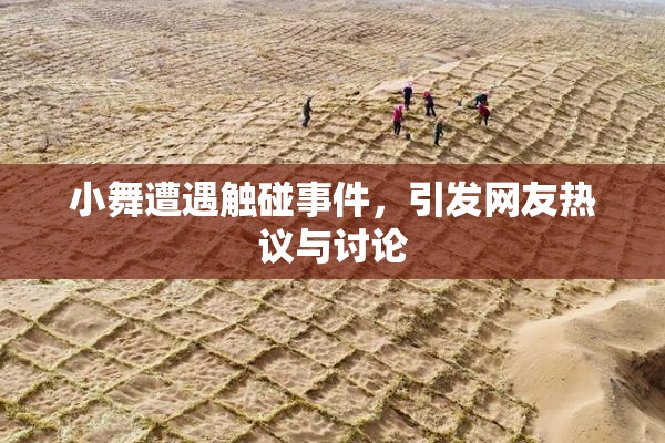 小舞遭遇触碰事件，引发网友热议与讨论